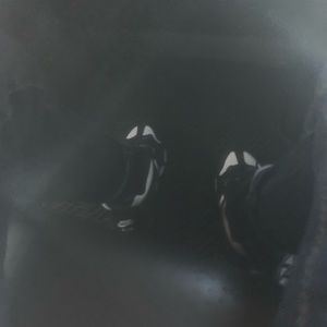 Meet your Posher, King